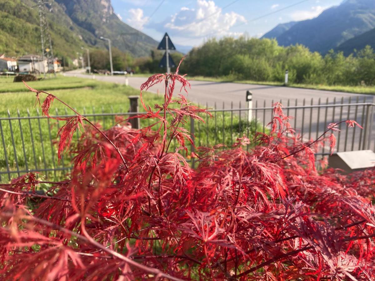 Meraki Dolomiti Лонгароне Екстериор снимка